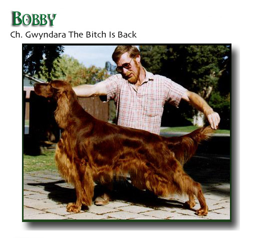 bobby